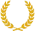 icon-videsmart-gold