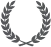 icon-videsmart-silver