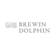 img-videosmart-logo-brewindolphin
